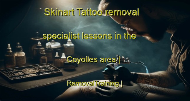 Skinart Tattoo removal specialist lessons in the Coyolles area | RemovalTraining | RemovalClasses | SkinartTraining-France